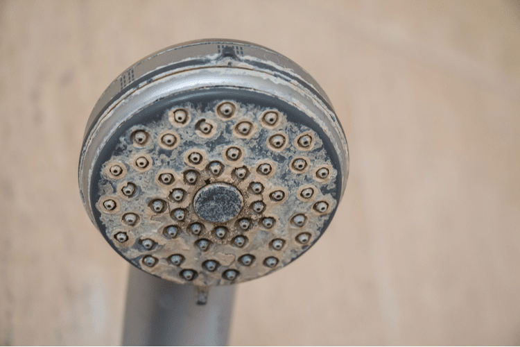 Hard Water Deposit on Shower Tap