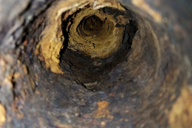 Yellow Rust Inside Pipes