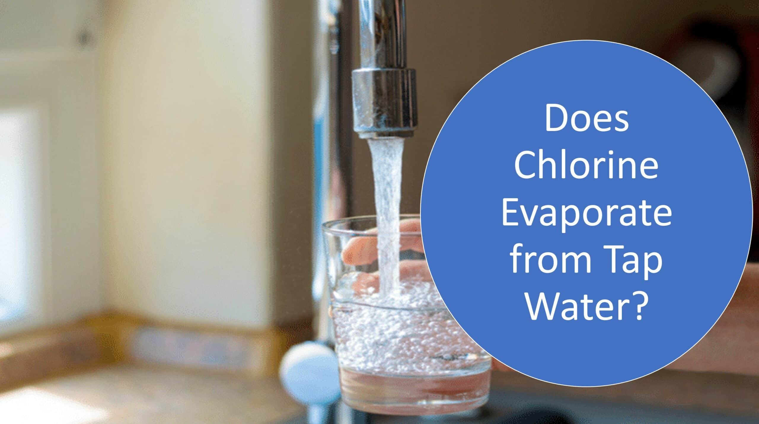 Does Chlorine Evaporate From Tap Water?