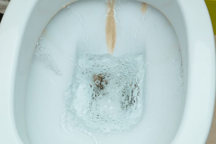 Hard Water Stains on Toilet