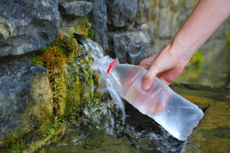 Drinking Water Directly From Spring