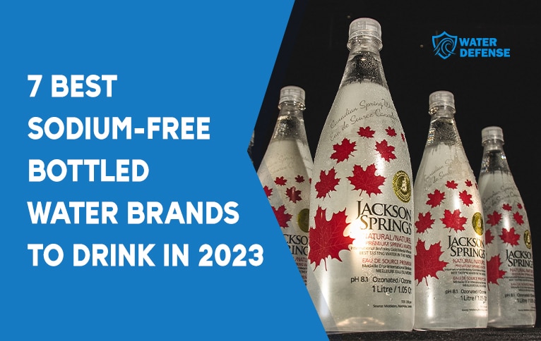7 Best Sodium-Free Bottled Water Brands to Drink in 2023